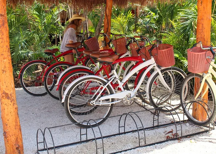 Joy Adults Only 2* Tulum