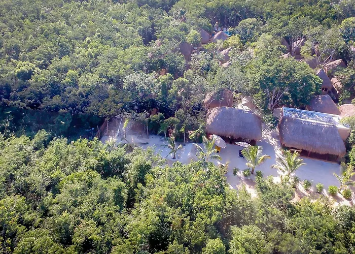 Joy Adults Only 2* Tulum